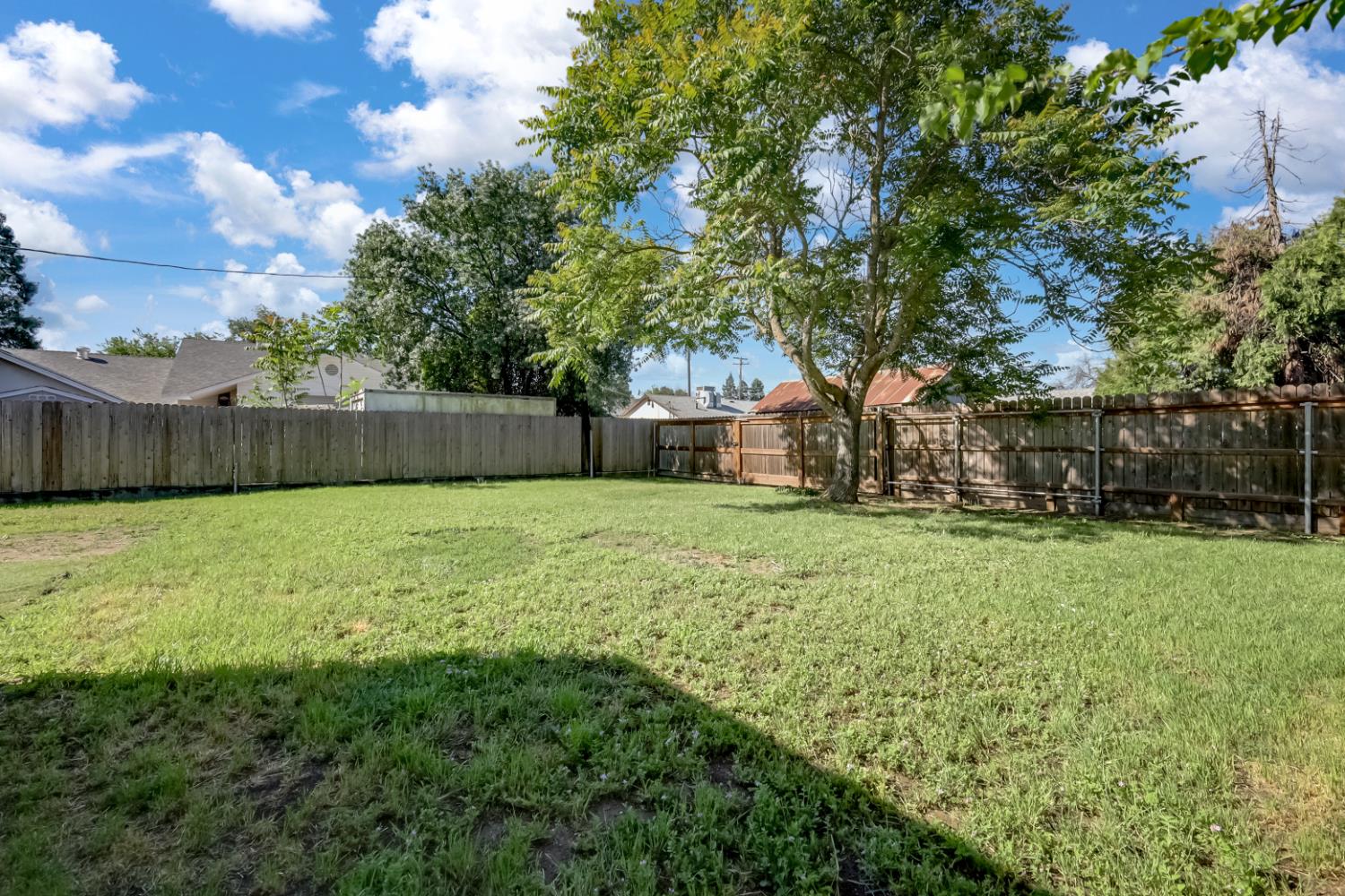 2130 Palm Street Sutter, CA 95982 - Photo 17 of 27 a view of a yard with a large tree