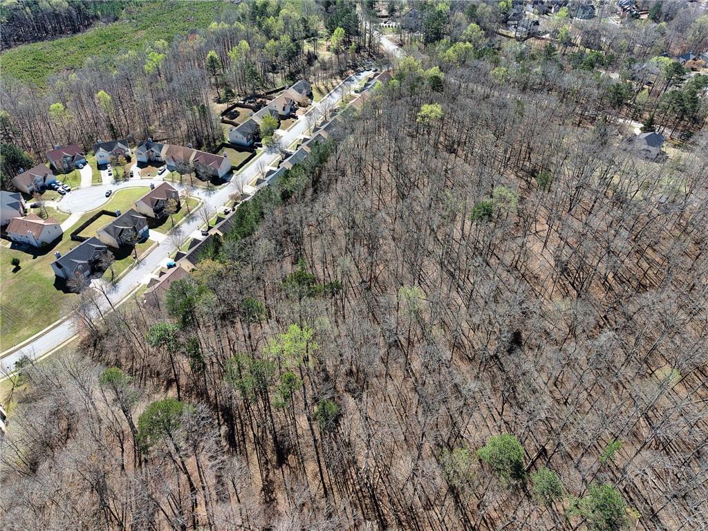 0 West Stubbs Road Atlanta, GA 30349 - Photo 13 of 19 a view of a forest with a tree