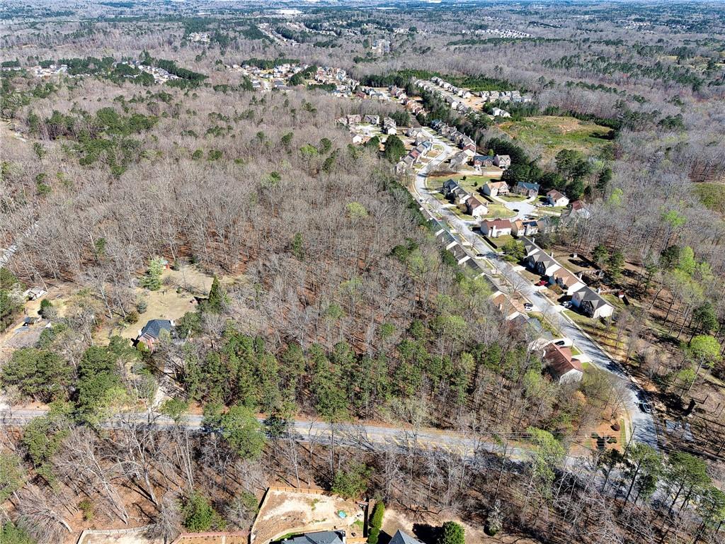 0 West Stubbs Road Atlanta, GA 30349 - Photo 18 of 19 a view of a forest with a forest