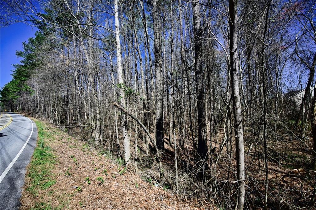 0 West Stubbs Road Atlanta, GA 30349 - Photo 5 of 19 a view of a yard with trees