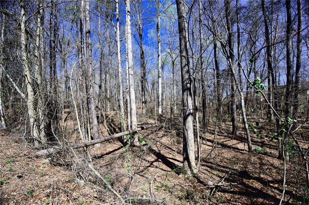 0 West Stubbs Road Atlanta, GA 30349 - Photo 6 of 19 a view of a backyard of the house