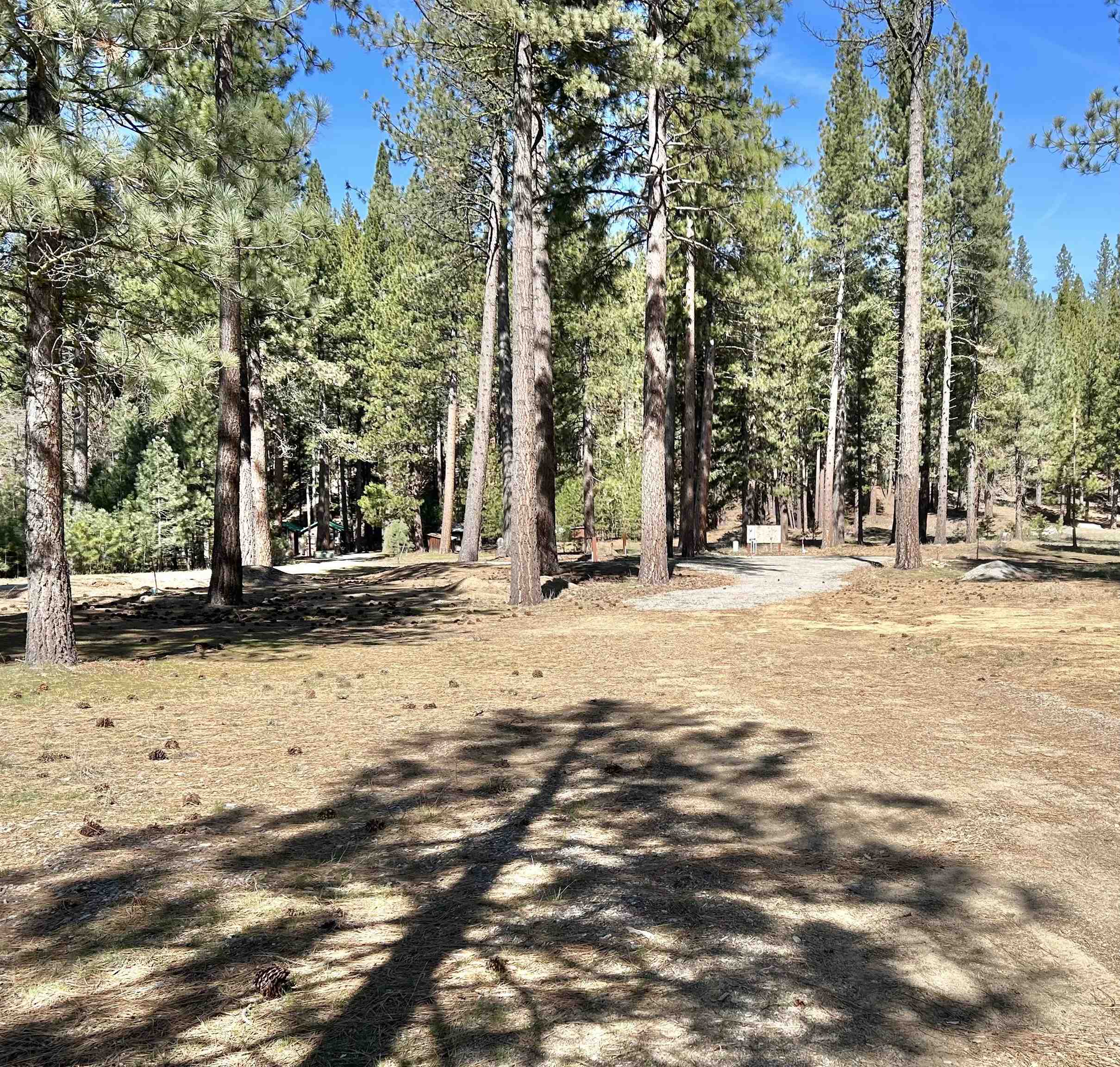 329 Clio State 40A Road Clio, CA 96106 - Photo 2 of 32