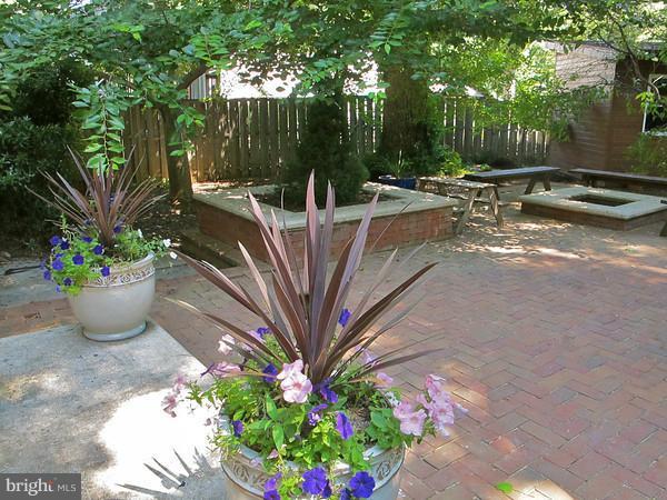 1911 Griffith Road Falls Church, VA 22043 - Photo 7 of 17 Patio