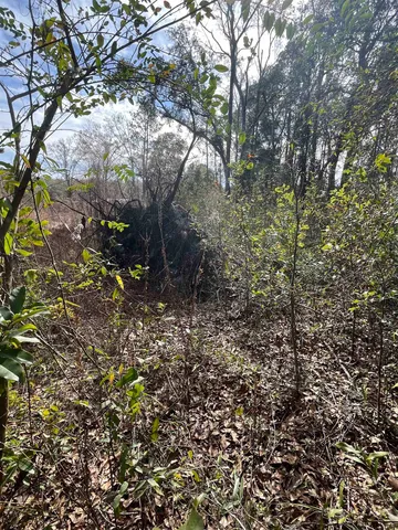 $38,000 | 50 East Pinhook Road, Monticello, FL 32344