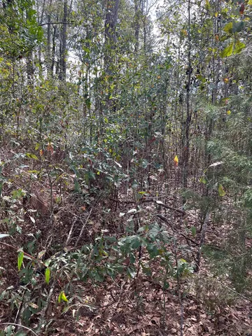 $38,000 | 50 East Pinhook Road, Monticello, FL 32344