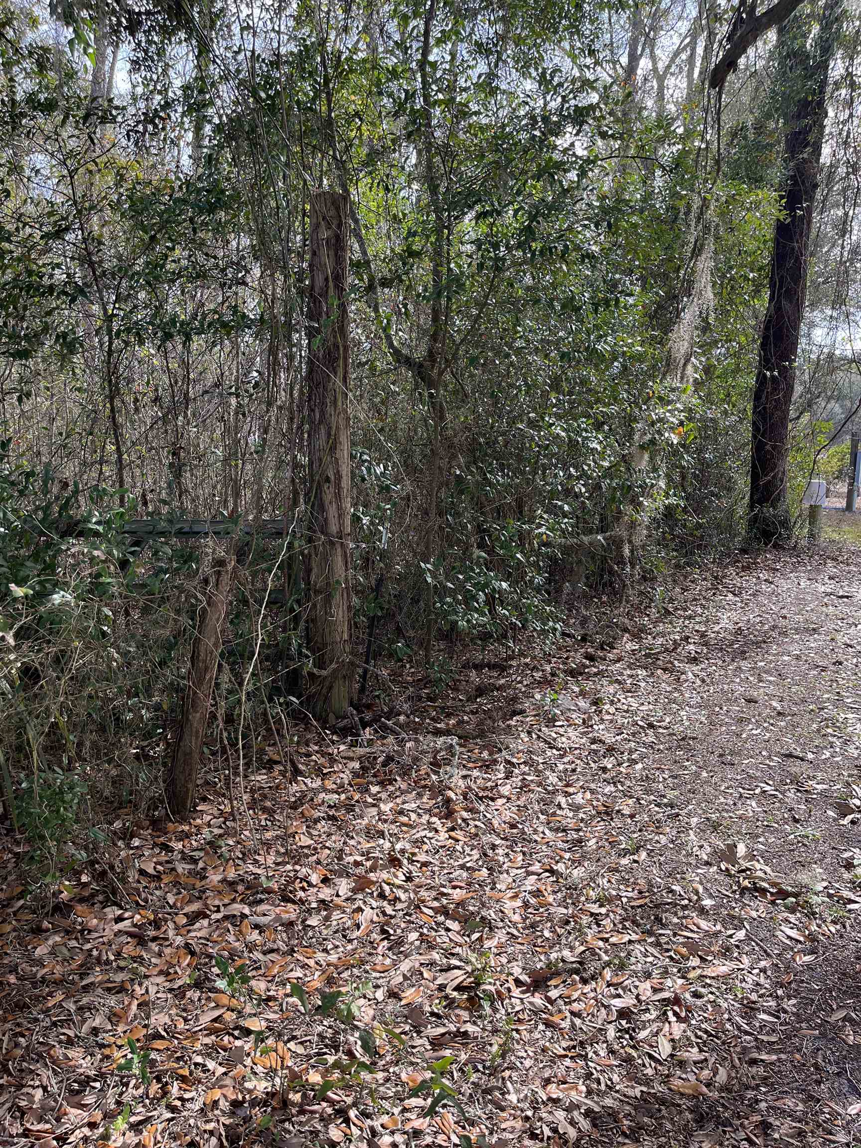 50 East Pinhook Road Monticello, FL 32344 - Photo 8 of 9