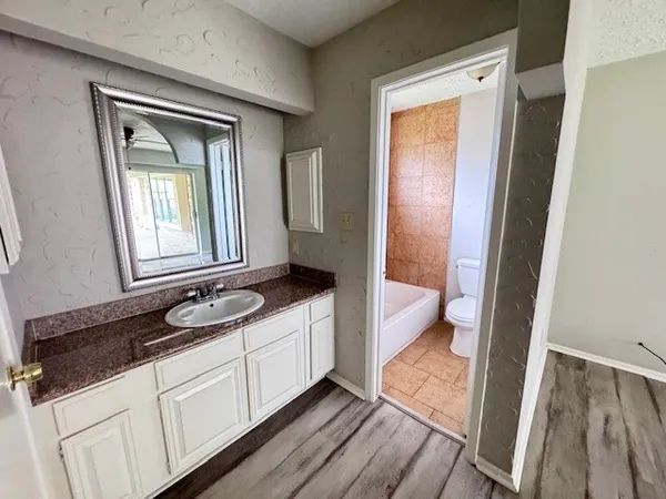 a bathroom with a sink a toilet and a mirror