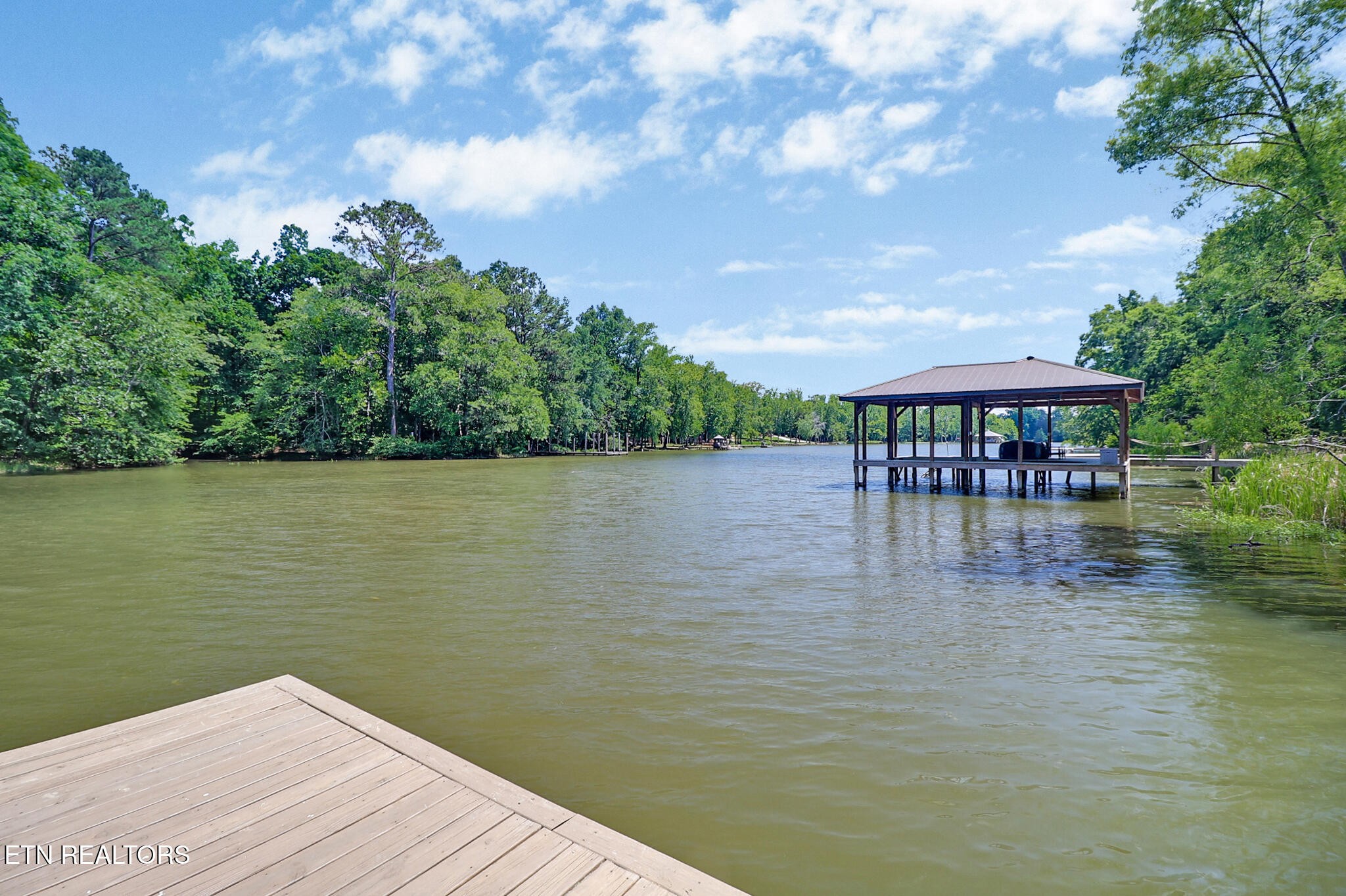 1783 Holly Glen Road Decatur, TN 37322 - Photo 47 of 59