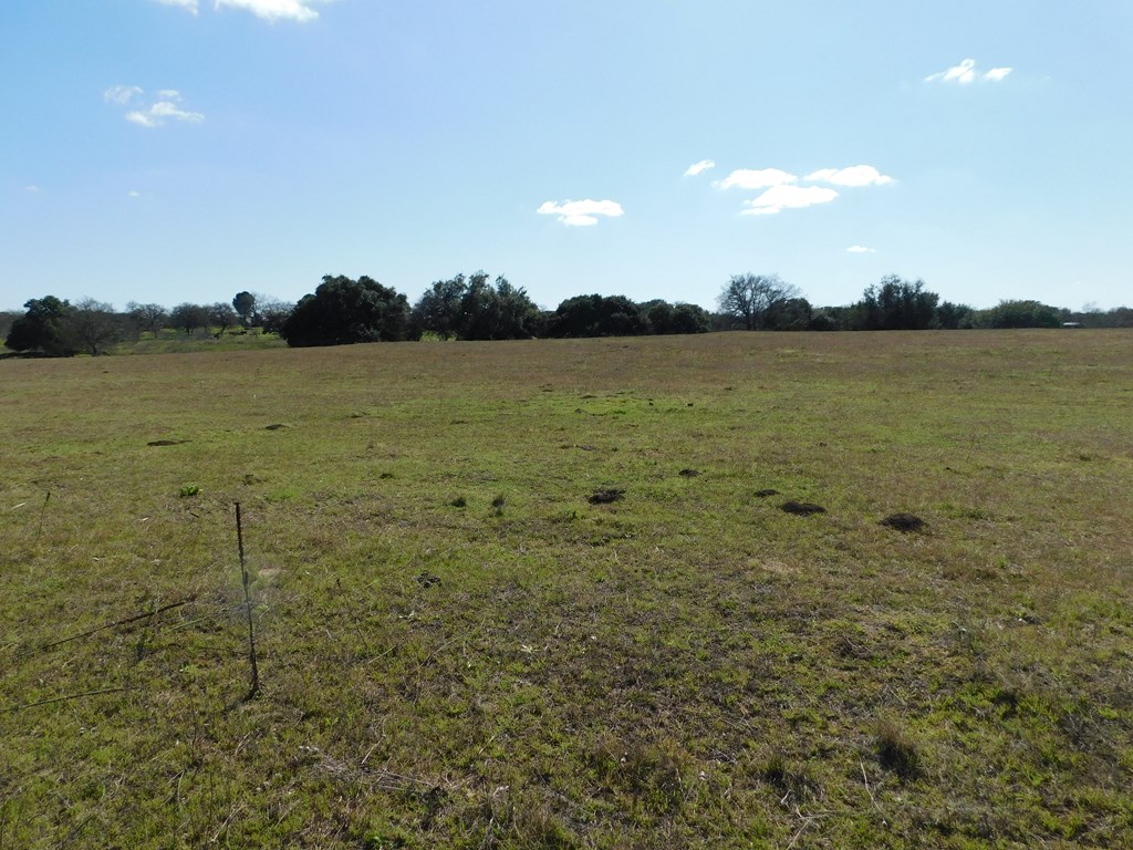 131 Elberta Street Stonewall, TX 78671 - Photo 3 of 4 a view of an ocean and beach