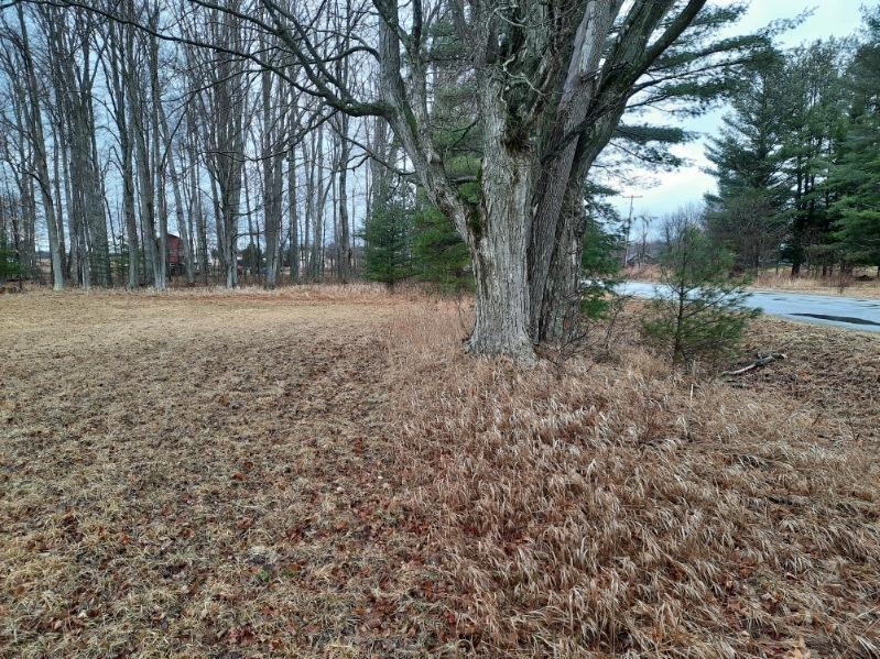 Kings Corner Road Mikado, MI 48745 - Photo 6 of 6