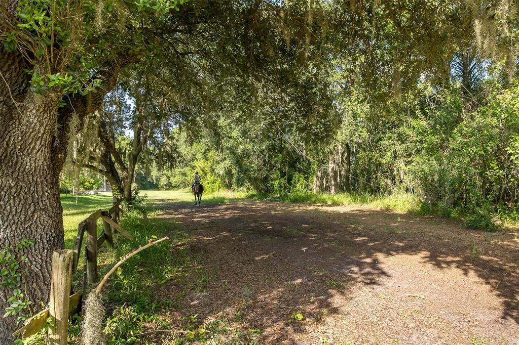 2880 Waters Edge Road Palm Harbor, FL 34685 - Photo 52 of 52
