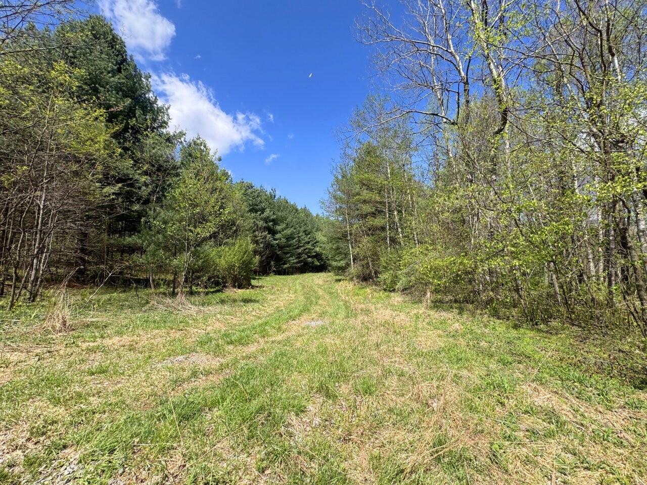 0 Mount Hope Road Mount Hope, WV 25880 - Photo 2 of 4 Tract 4