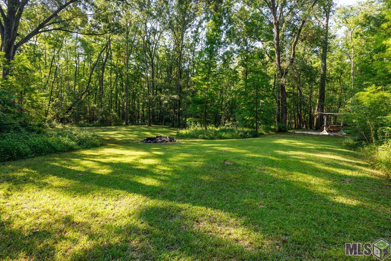 18553 Manchac Point Road Prairieville, LA 70769 - Photo 35 of 37