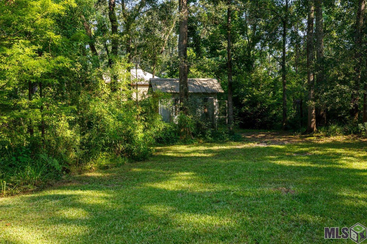 18553 Manchac Point Road Prairieville, LA 70769 - Photo 37 of 37