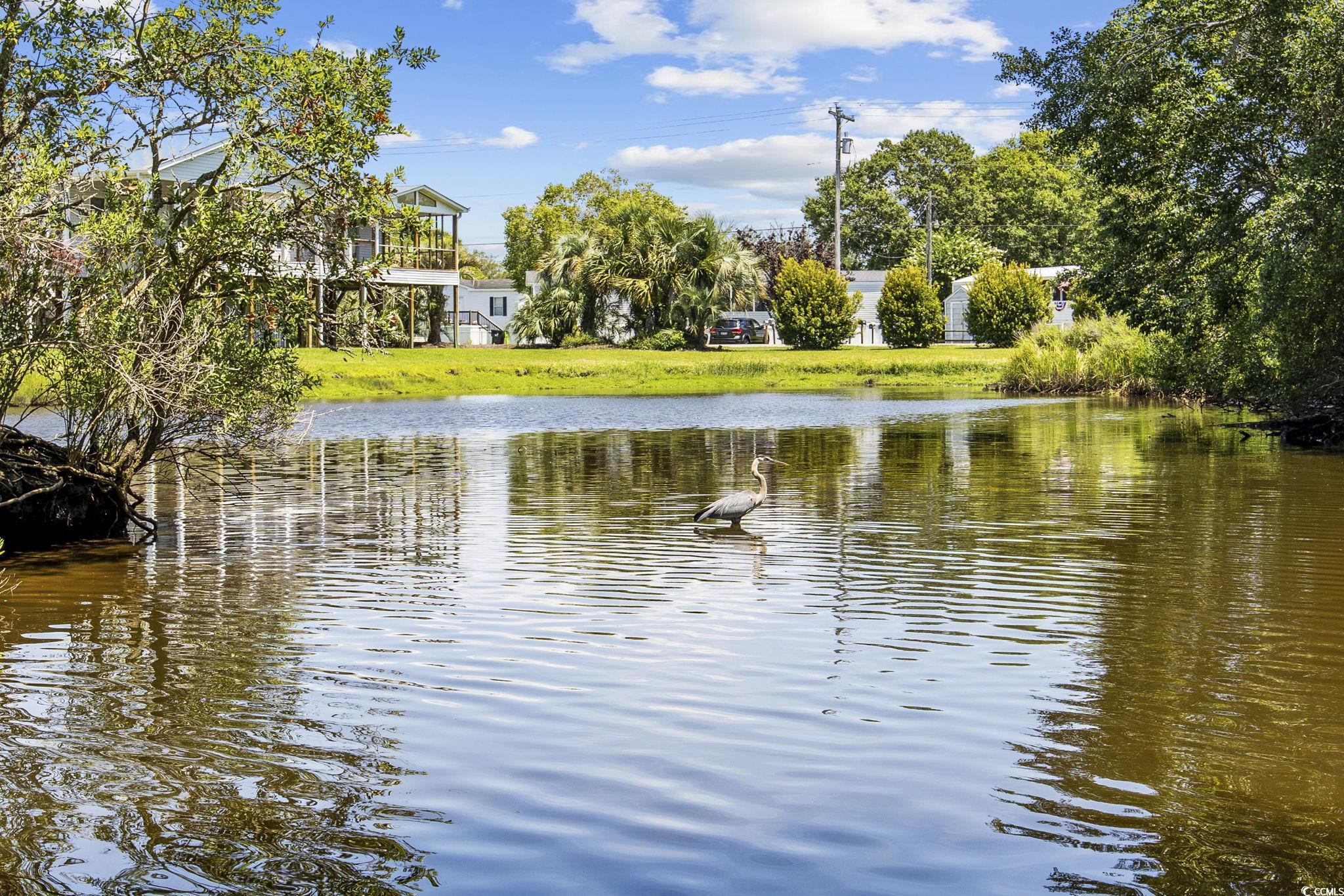 222 Calhoun Drive Murrells Inlet, SC 29576 - Photo 22 of 40 View of water feature