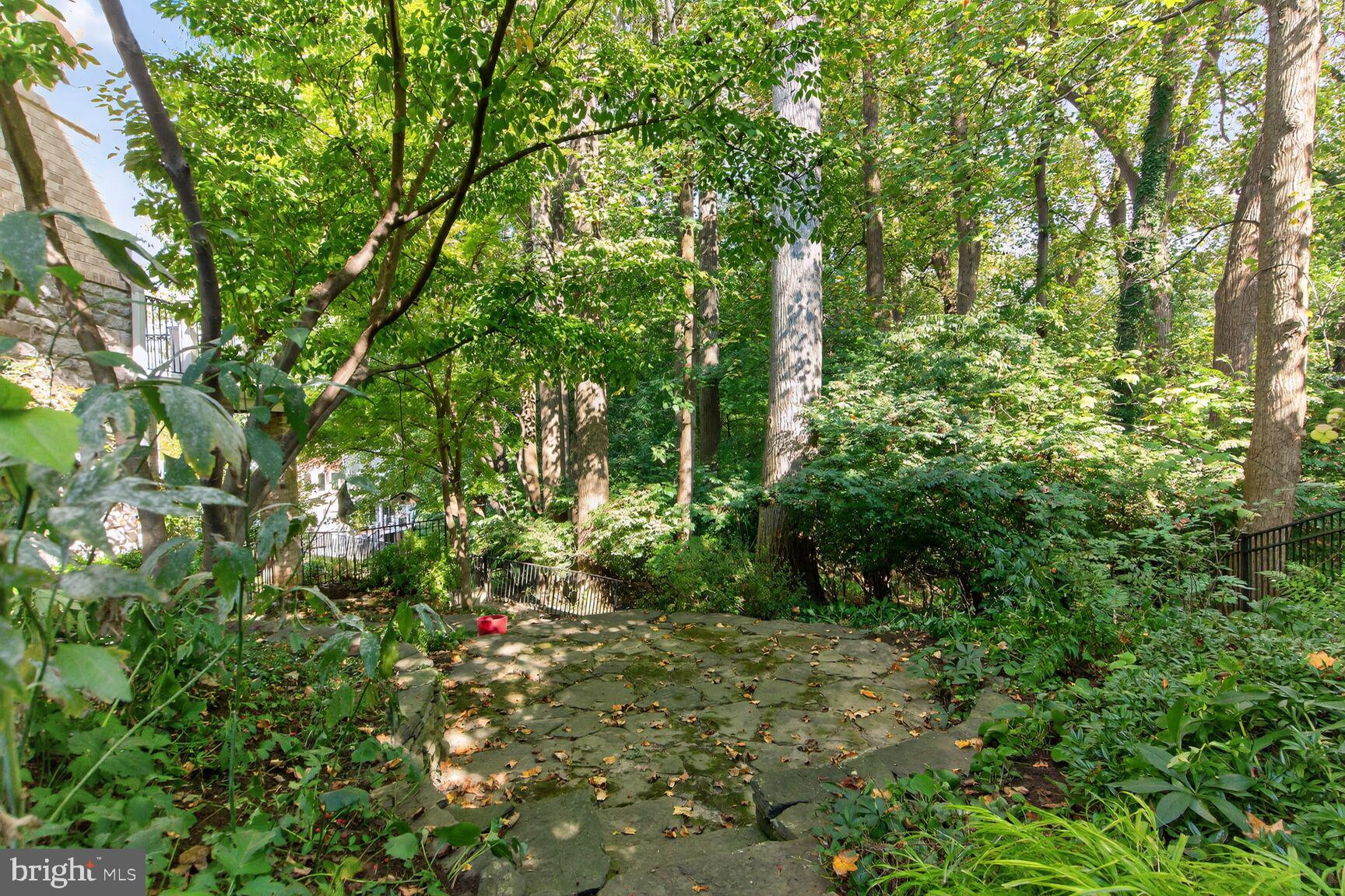 3950 27th Road North Arlington, VA 22207 - Photo 64 of 86 Private patio to side of house