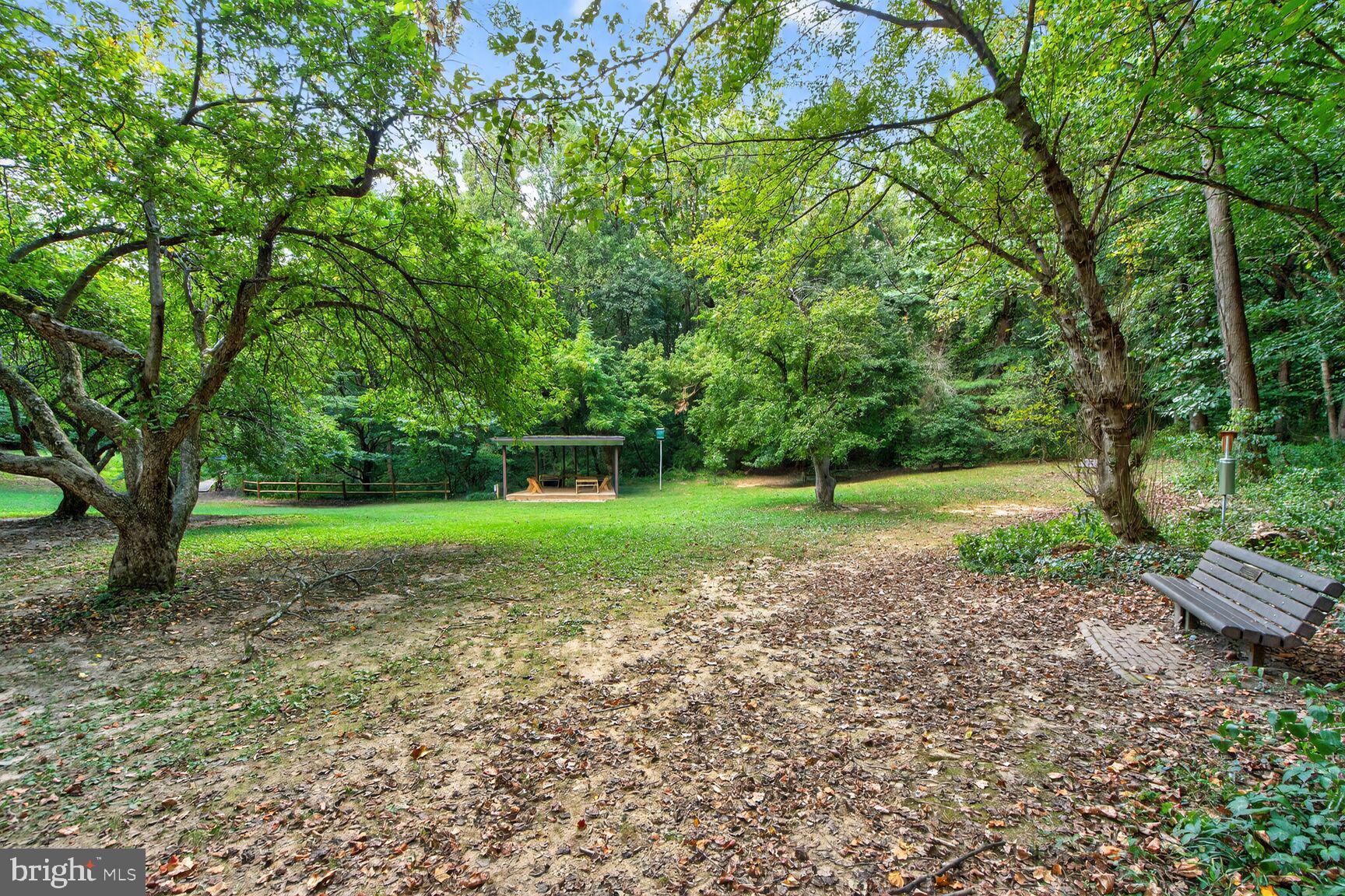 3950 27th Road North Arlington, VA 22207 - Photo 82 of 86 Lots of open space