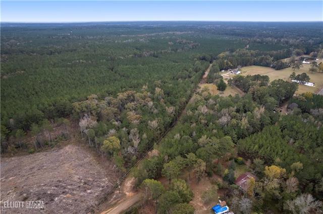 0 Pollock Cemetery Road Pollock, LA 71467 - Photo 2 of 7