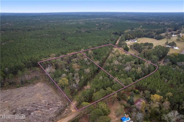 0 Pollock Cemetery Road Pollock, LA 71467 - Photo 4 of 7