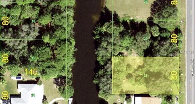 a picture of flowers