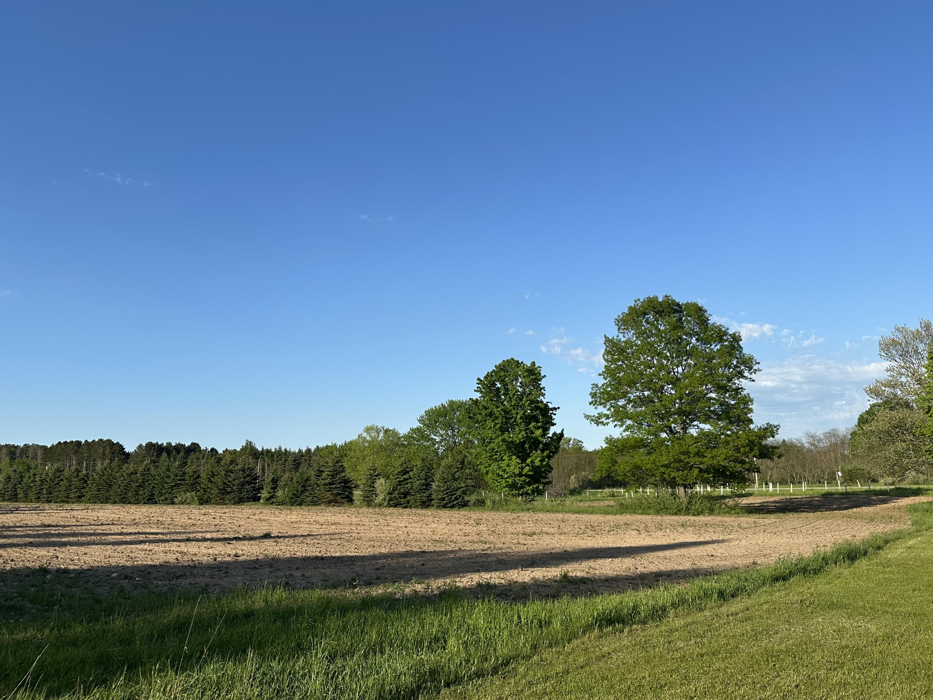 5372 Milarch Road Manistee, MI 49660 - Photo 24 of 41 IMG_8338