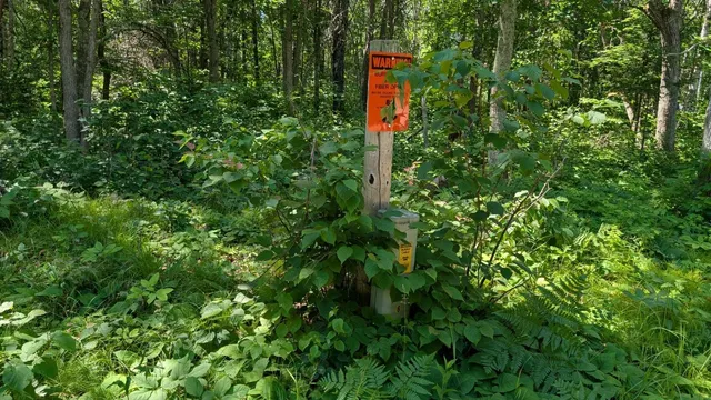 $60,000 | Tbd 22nd Street Southwest, Pine River, MN 56474