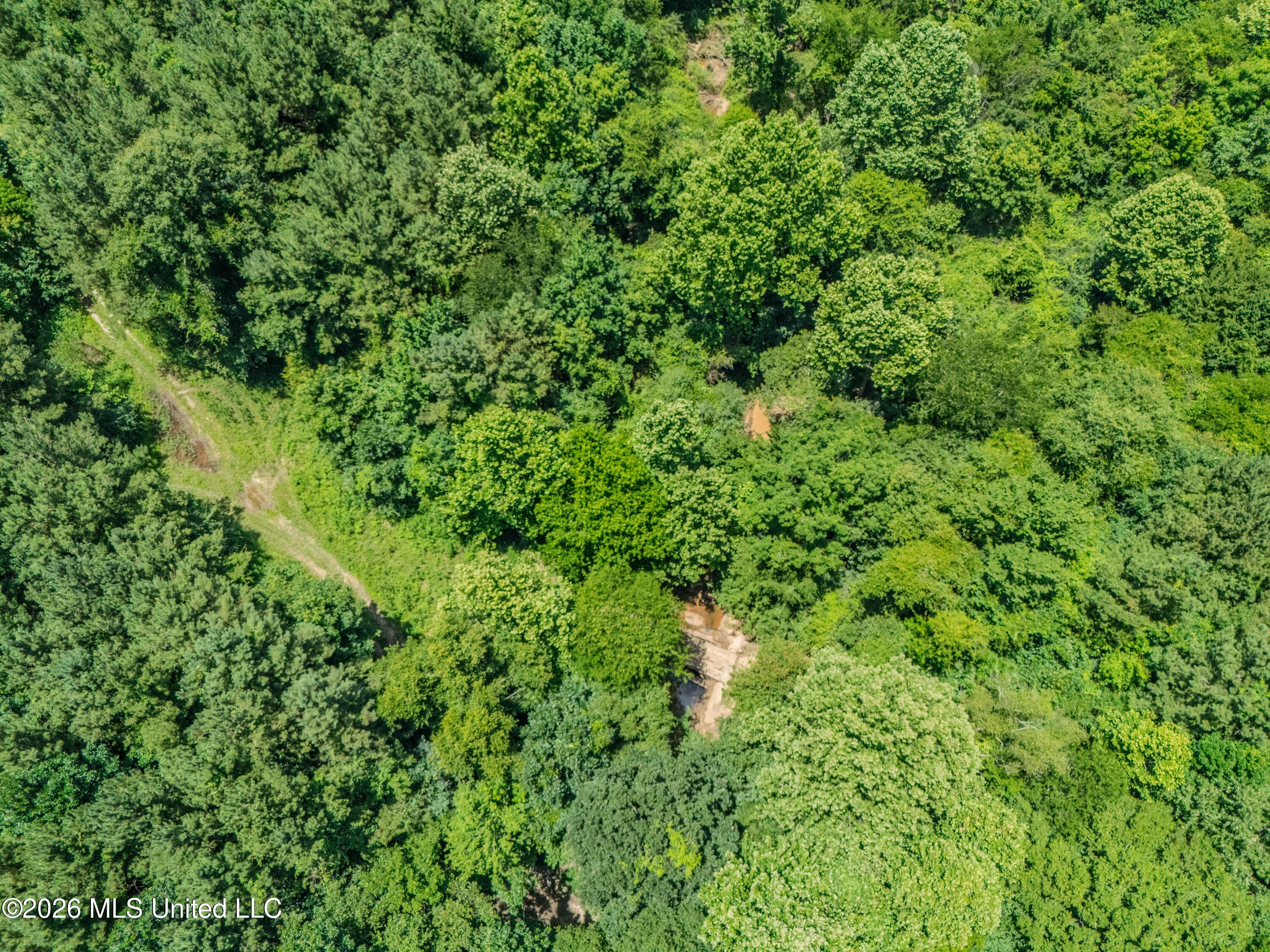 23 Co Road Bay Springs, MS 39422 - Photo 49 of 64 DJI_20260611123440_0020_D