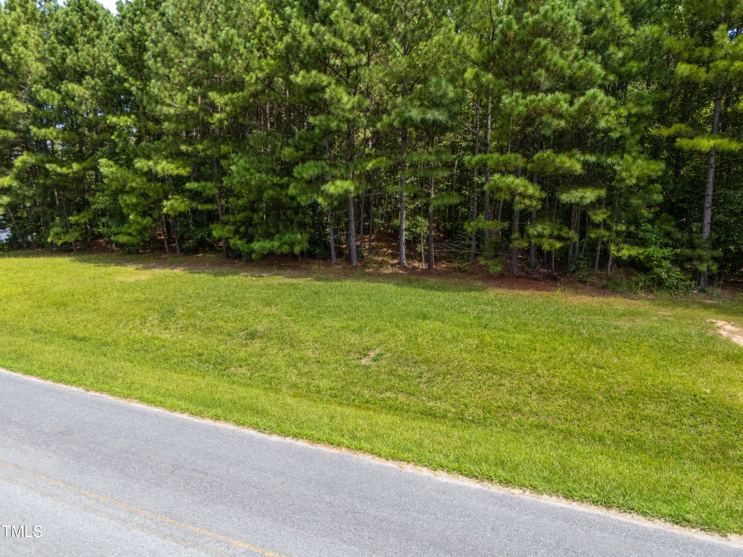 708 John Horton Road Apex, NC 27523 - Photo 4 of 11