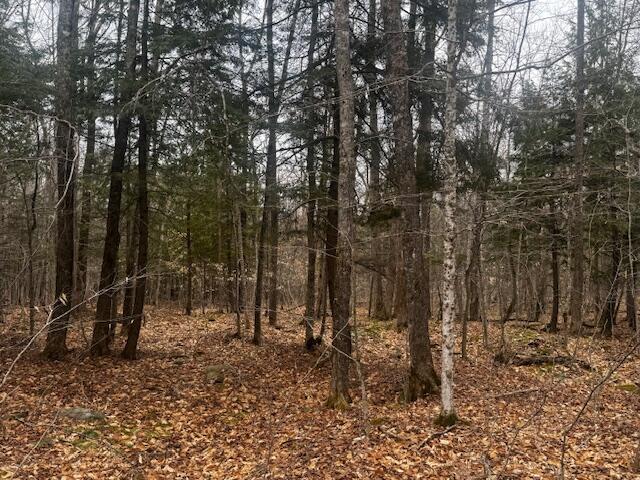 701 Malbons Mills Road Skowhegan, ME 04976 - Photo 7 of 9 IMG_2339