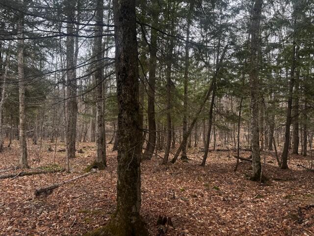 701 Malbons Mills Road Skowhegan, ME 04976 - Photo 8 of 9 IMG_2338