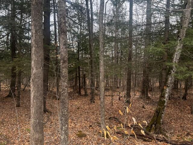 701 Malbons Mills Road Skowhegan, ME 04976 - Photo 9 of 9 IMG_2337