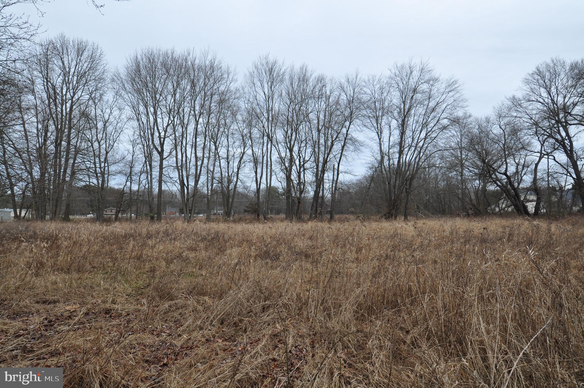 1232 Old York Road Burlington, NJ 08016 - Photo 5 of 11