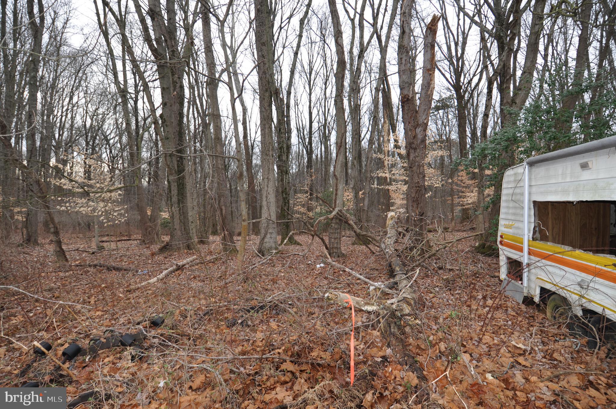 1232 Old York Road Burlington, NJ 08016 - Photo 8 of 11