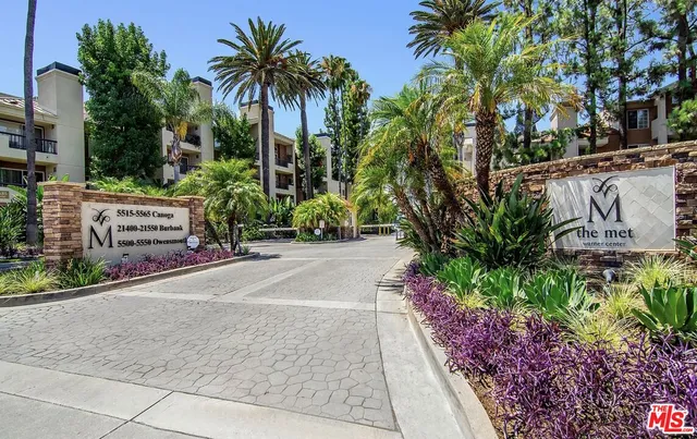 a street view with potted plants and palm trees