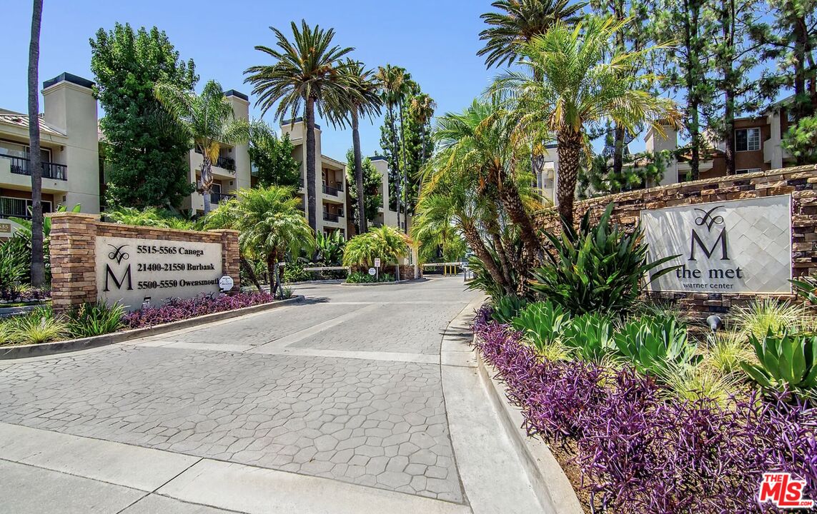 a street view with potted plants and palm trees