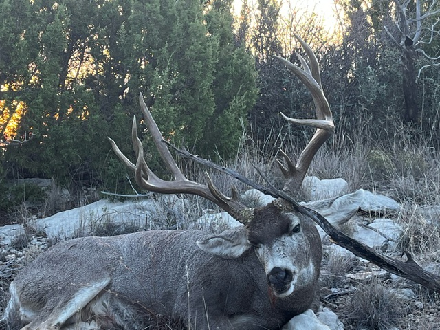 View of undeveloped land