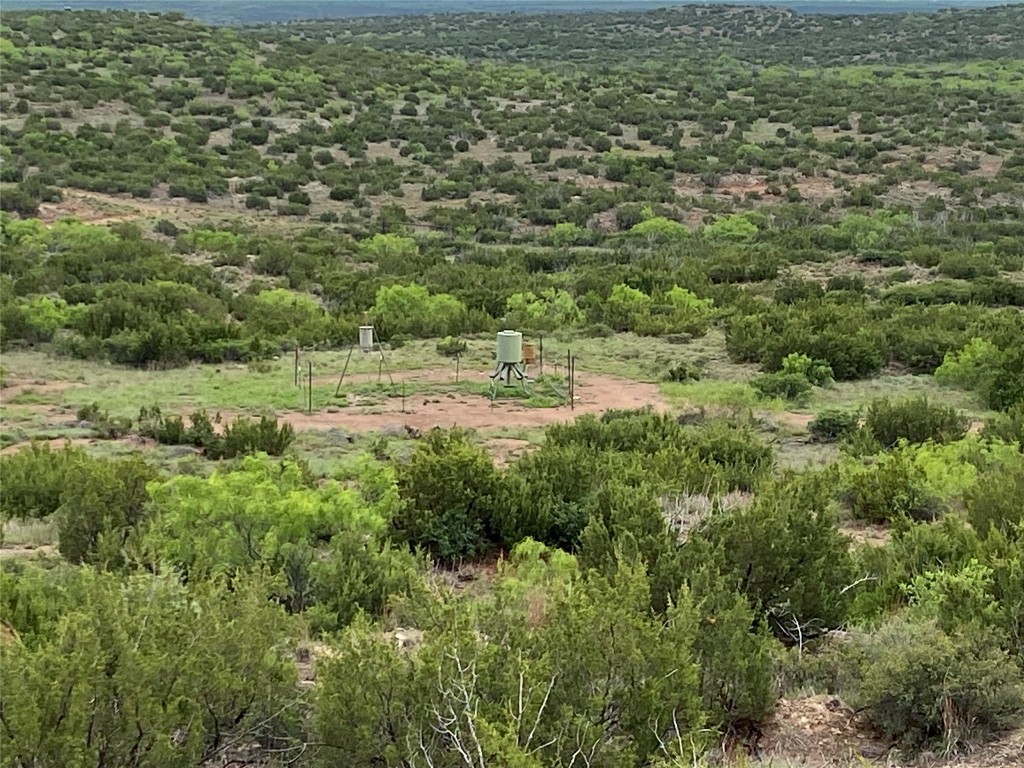 906 C R 235 Old Glory, TX 79540 - Photo 19 of 40 a view of outdoor space and trees