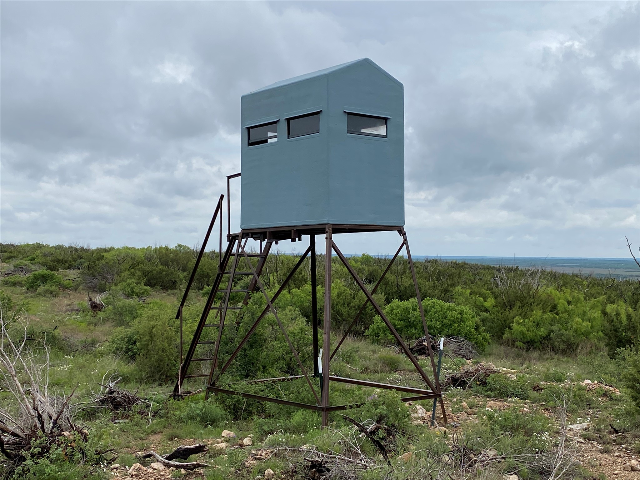 906 C R 235 Old Glory, TX 79540 - Photo 19 of 40 a view of a back yard