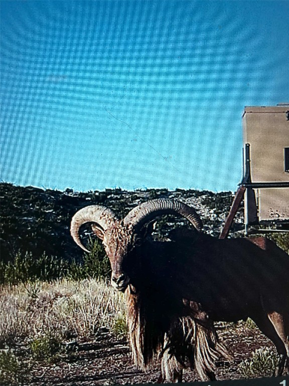 906 C R 235 Old Glory, TX 79540 - Photo 32 of 40