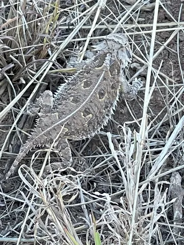 a view of a outdoor space