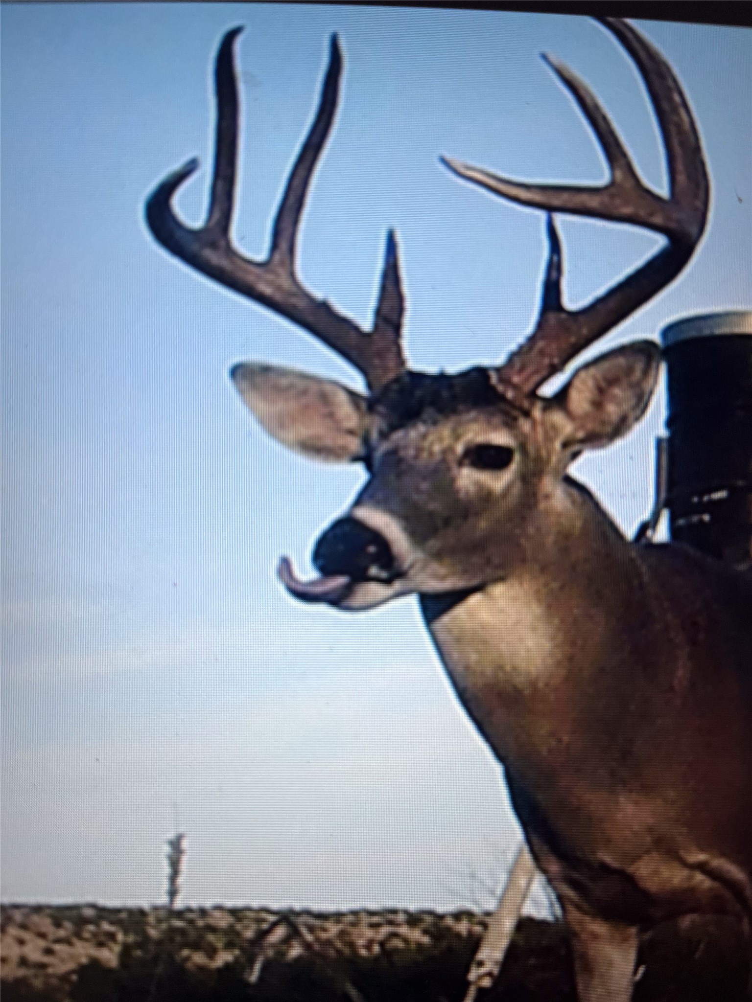 906 C R 235 Old Glory, TX 79540 - Photo 35 of 40 Exterior view