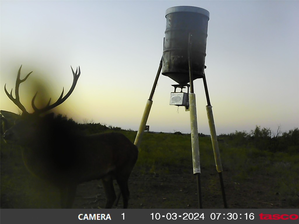 906 C R 235 Old Glory, TX 79540 - Photo 38 of 40 a picture of water heater room