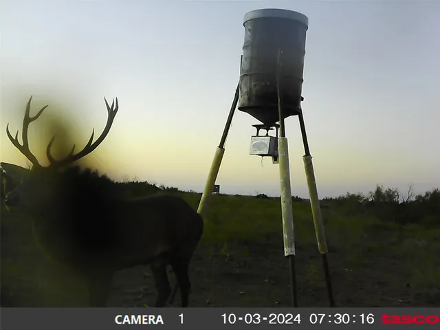 $5,497,800 | 906 C R 235, Old Glory, TX 79540