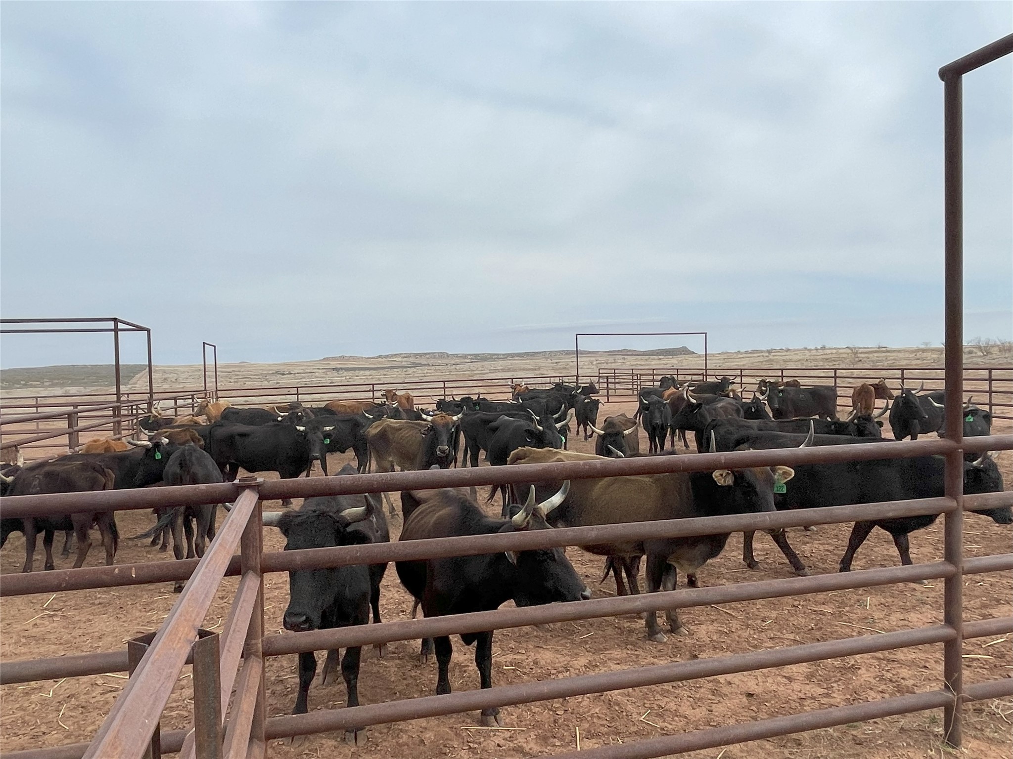 906 C R 235 Old Glory, TX 79540 - Photo 39 of 40 a view of a balcony with an ocean view