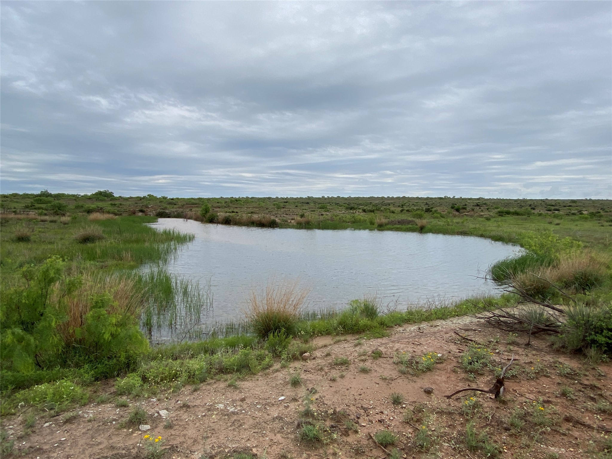 906 C R 235 Old Glory, TX 79540 - Photo 6 of 40 a view of a lake with houses in the back