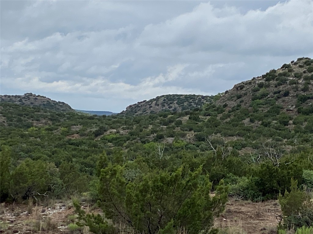 906 C R 235 Old Glory, TX 79540 - Photo 6 of 40 a view of a large building
