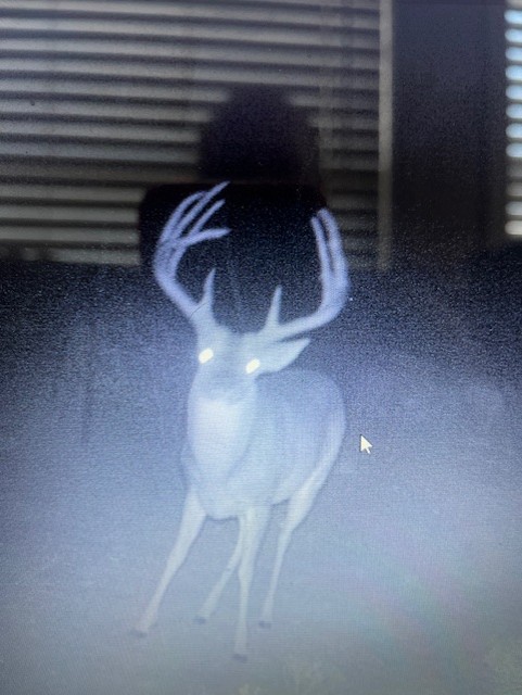 906 C R 235 Old Glory, TX 79540 - Photo 9 of 40 a view of entryway