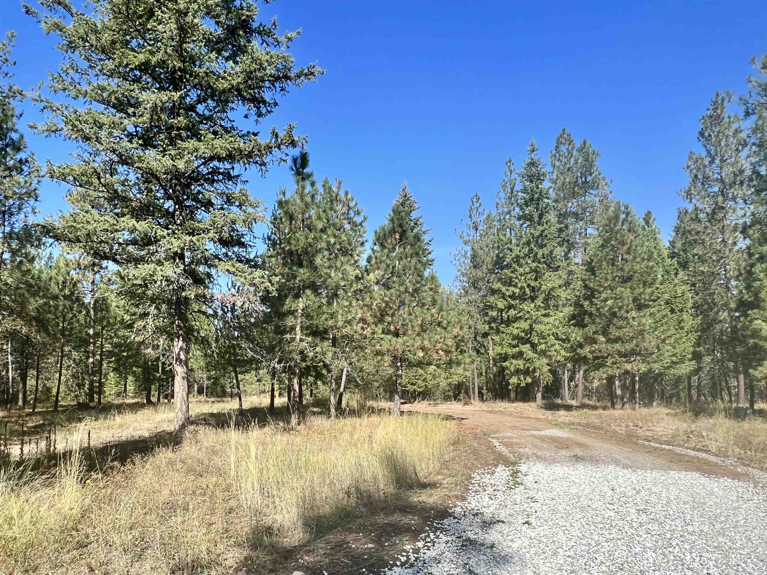 3323 Roitz Road Valley, WA 99181 - Photo 1 of 14