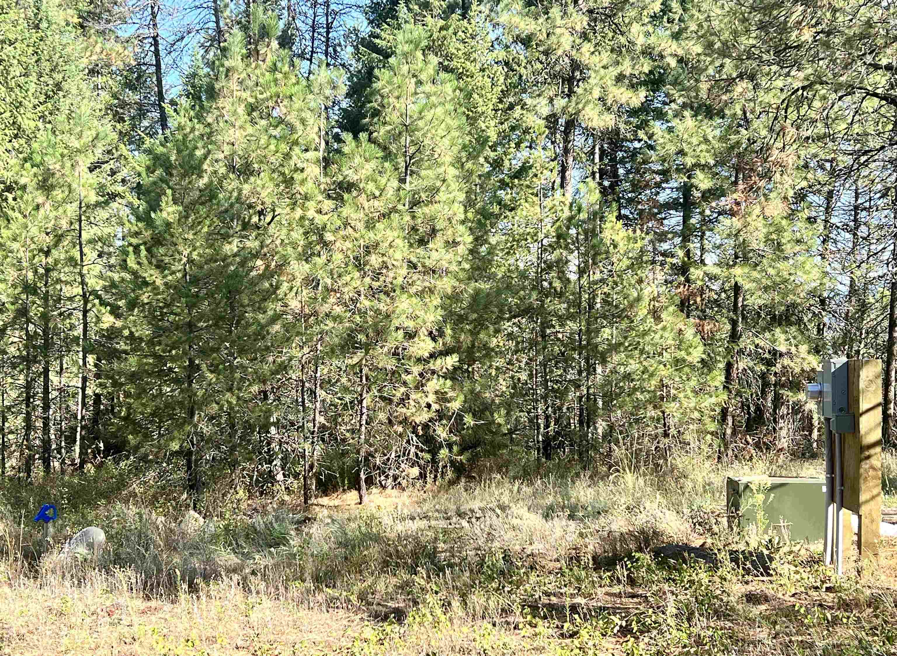 3323 Roitz Road Valley, WA 99181 - Photo 7 of 14