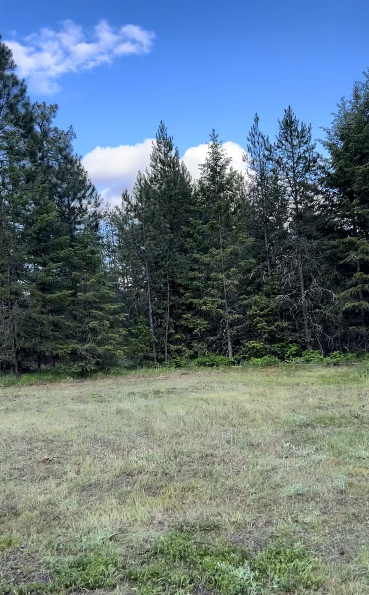 3323 Roitz Road Valley, WA 99181 - Photo 9 of 14